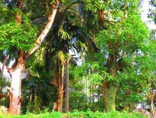 Nil Manel Residence Kandy