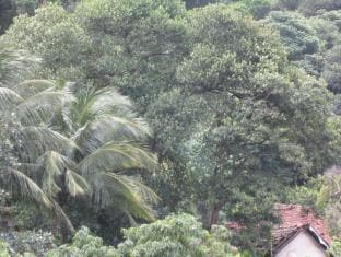 Three Three Five Guest House