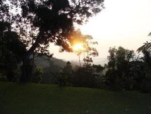 Eco Jungle Hideout Bungalow
