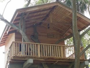 Wilpattu Tree House