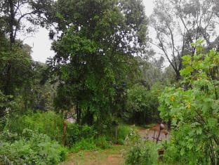 Vee Guest Home Stay