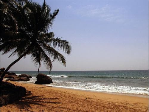 Dimuthu Tour Inn