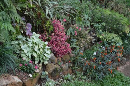Hanthana Breeze Home Stay