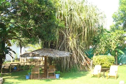 Blue Seas Guest House