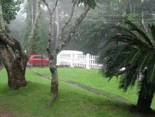 Grannys Forest Lodge