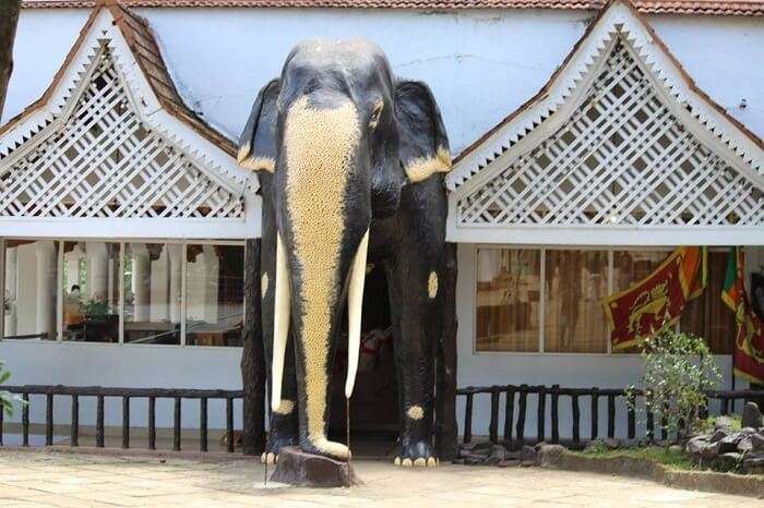 The Grumpy Elephant Hotel