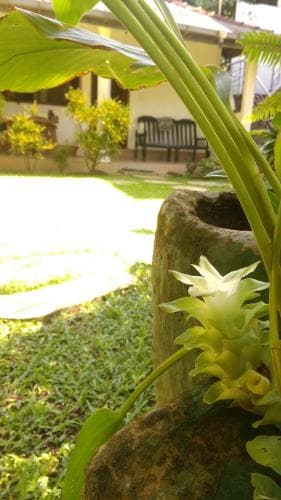 Palm Garden Guest House