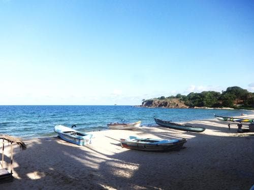 Dutch Bay Beach Cottages