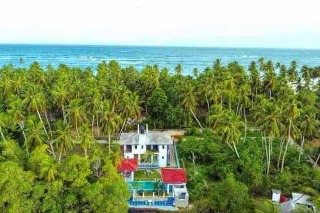 Crazy Coconut Villa