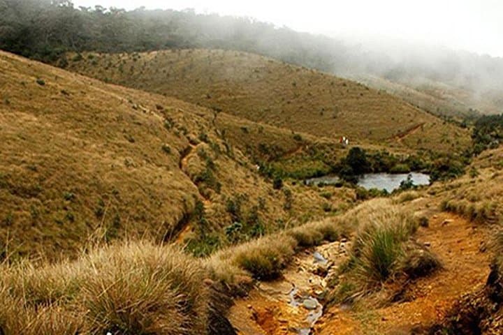 Horton Plains Safari