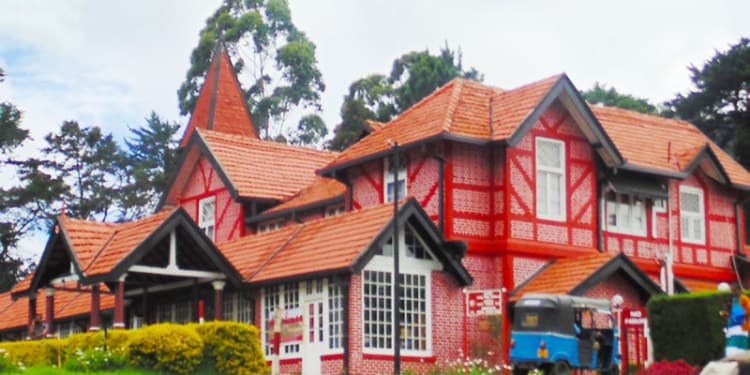 The log Nuwara Eliya