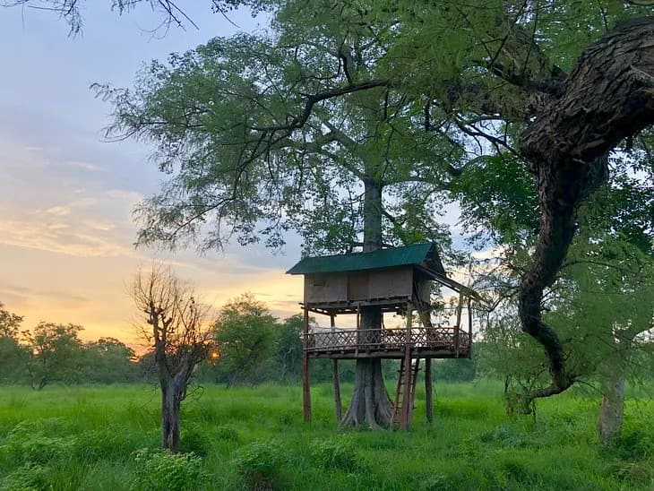 Kumbuk Tree House