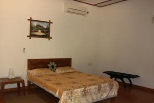 Paradise Guest