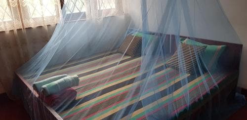 The Best Hostel