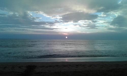 Janus Paradise Rest
