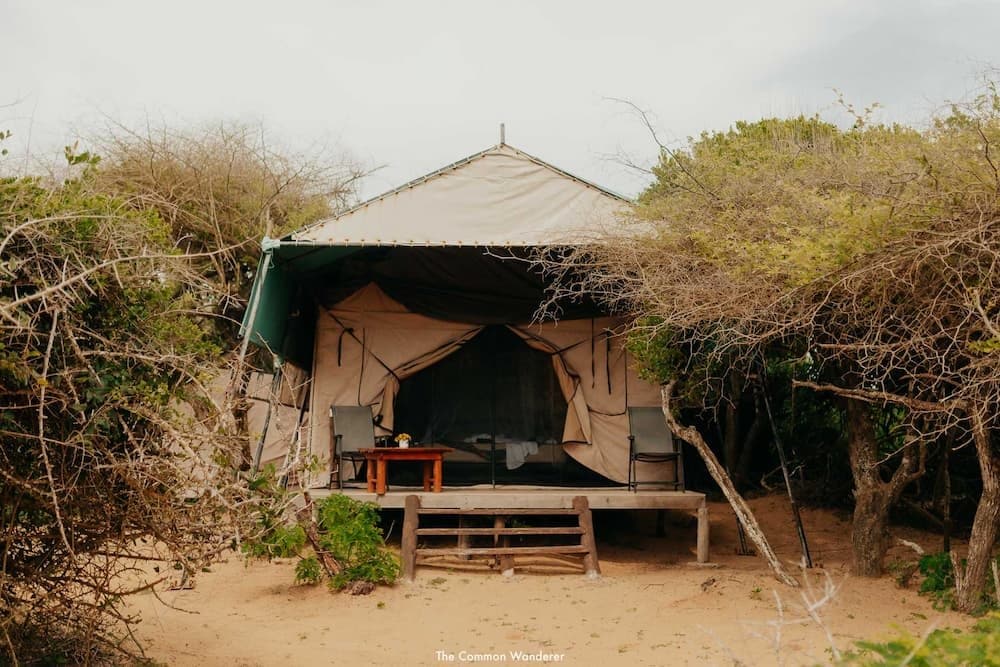 Yala National Park Camping