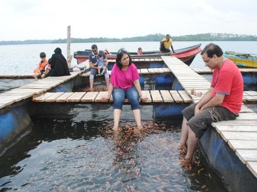 Pelli Riverine