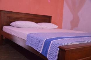 Lilly Palace Villa Guest House