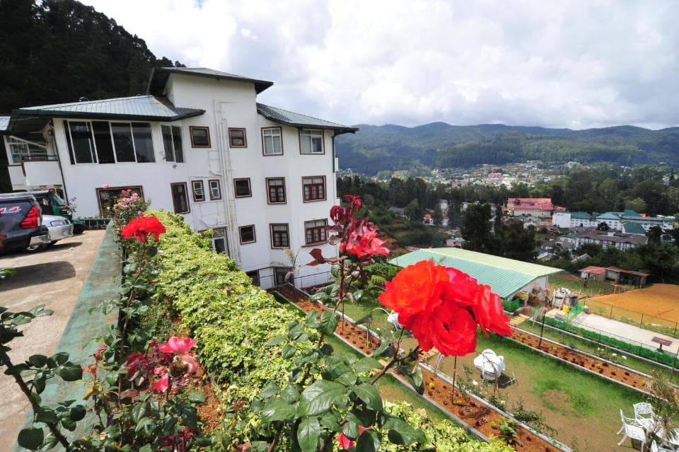 Rose view
