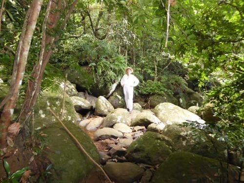 Kurulu Estate