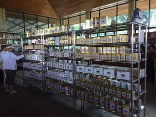 GLENLOCH TEA FACTORY HOTEL