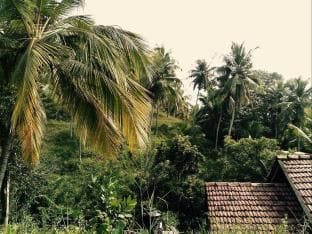 chamika house mirissa