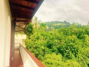 Mount River View