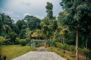 Thomasz Lodge
