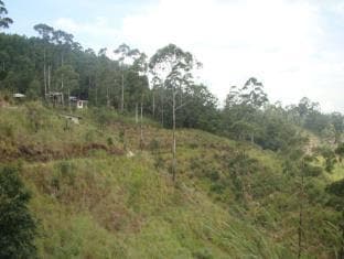 Ella Upper Hill