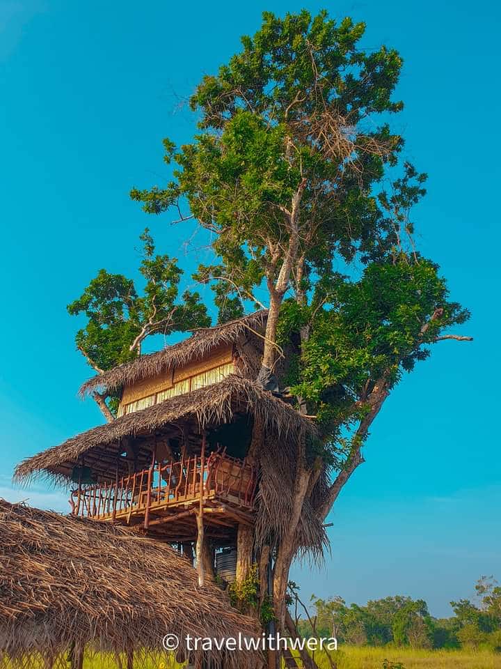 Coconut Treehouse