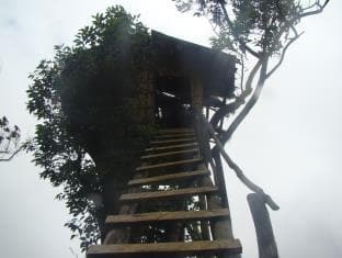 Binara Villa