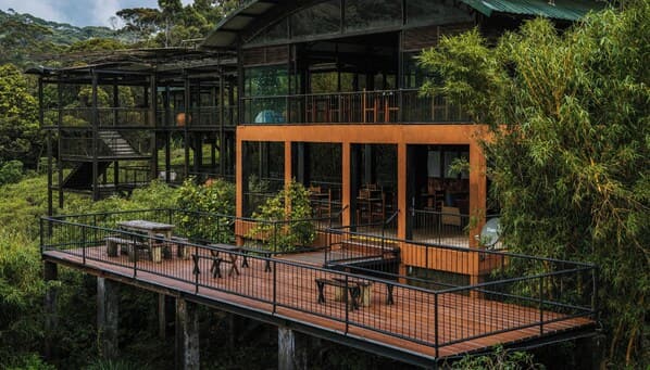 Yoho Rain Forest Eco Lodge