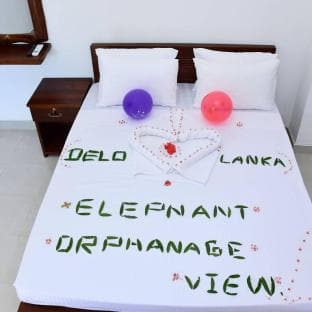 Delo Lanka Elephant Orphanage View