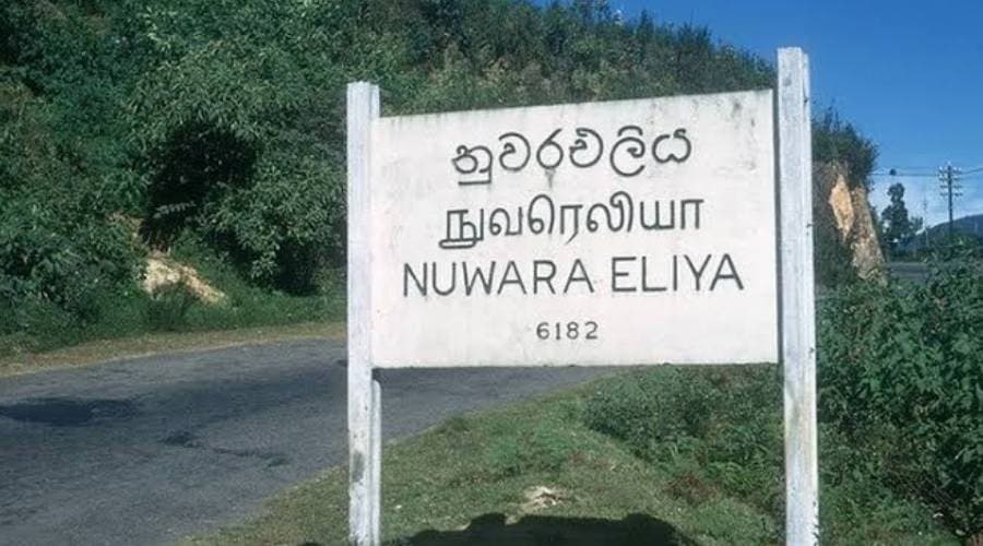 The log Nuwaraeliya