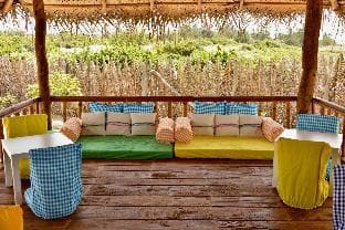 Whisky Point Surf Cabana