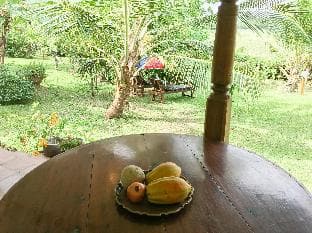Village House for peaceful vacation