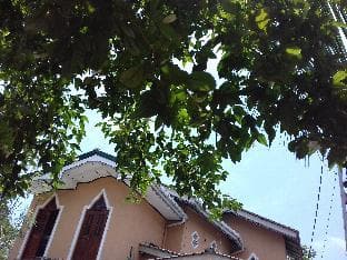 Galle paradise inn