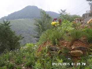 Tanzanite Mount View Hotel