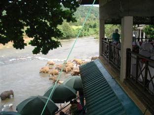 Hotel Elephant Park