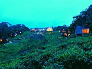 The Rainforest Ecolodge