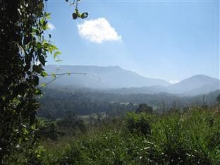 Zenith Home Stay