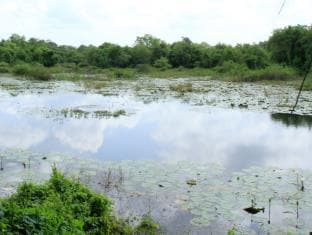 Big Game Camp - Wilpattu
