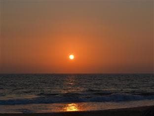 Sea Shine