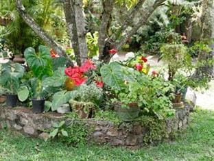 Silva Rest Bed and Breakfast