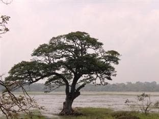 Nisansala Holiday House