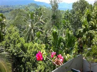 Rainforest Lodge
