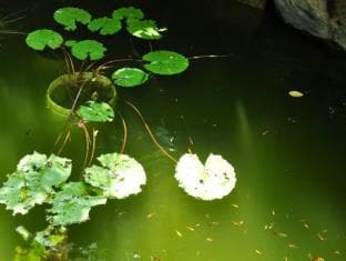 Hotel Aradhana