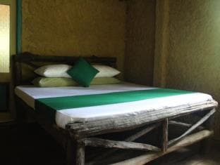 The Rainforest Retreat