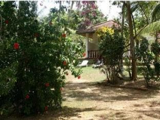 Rocky Point Beach Bungalows
