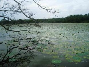 Mahawewa Nature Resort
